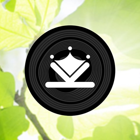 A big thanks to Kingstone Oak