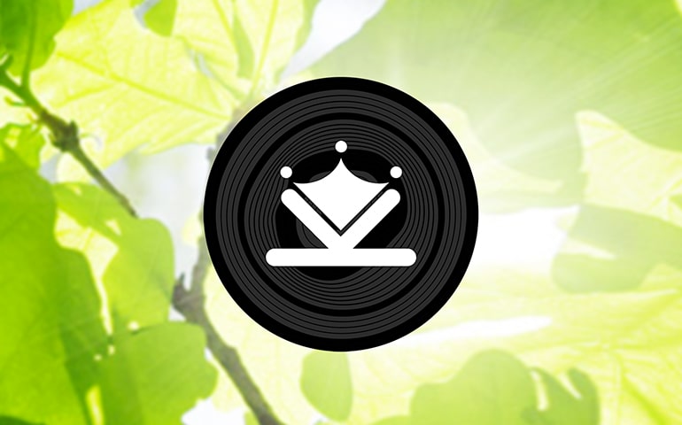 A big thanks to Kingstone Oak