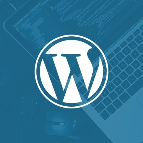 Web Design for Your Blog – is WordPress the Answer?