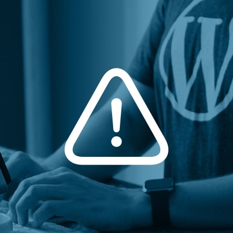 Wordpress Worm Alert - Minor Issue!