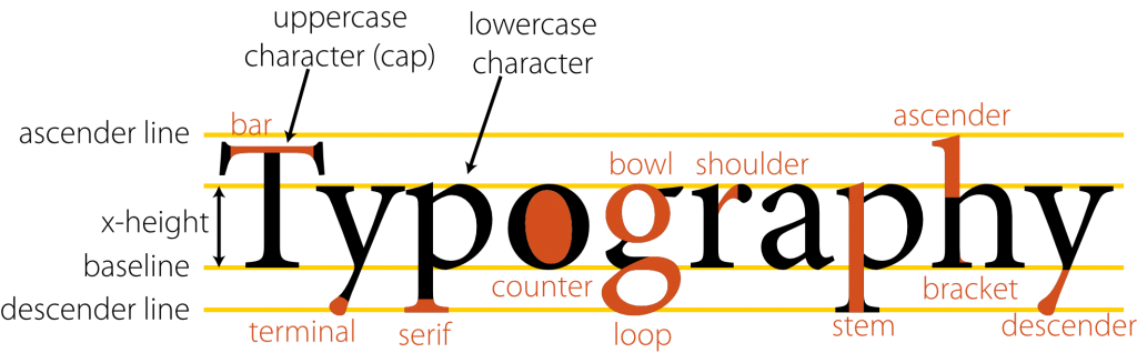 anatomy_of_type_typography-1969px