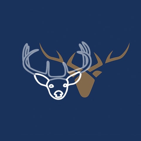 Using a Branding Expert Vs Using a Stranger on Elancer