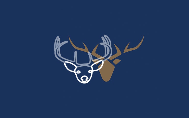 Using a Branding Expert Vs Using a Stranger on Elancer