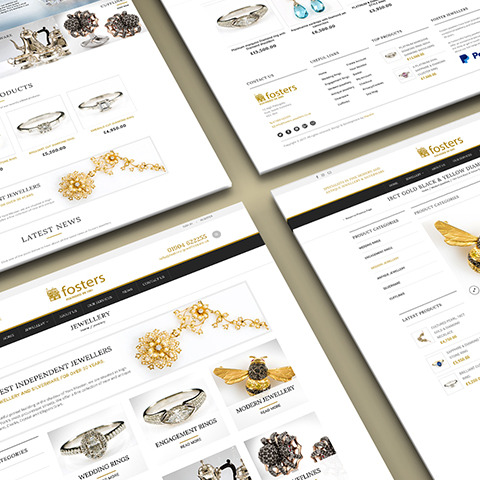 Why You Need a Professional Host and Website Designer