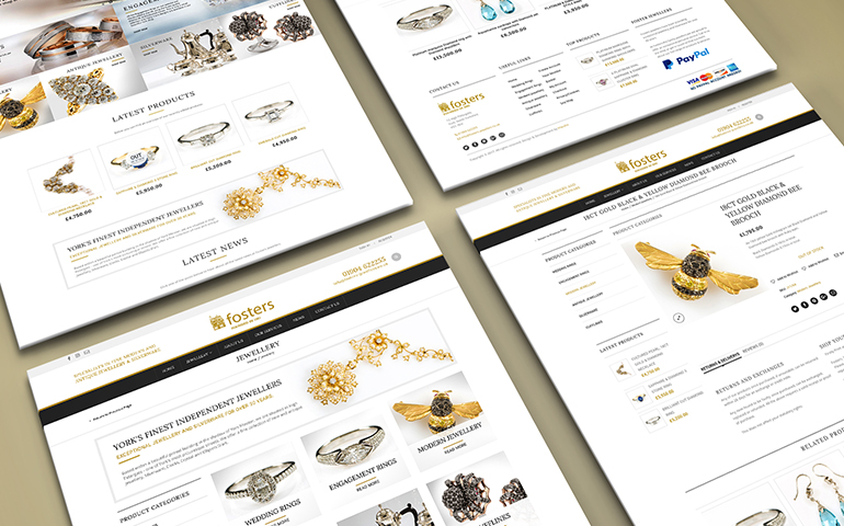 Why You Need a Professional Host and Website Designer