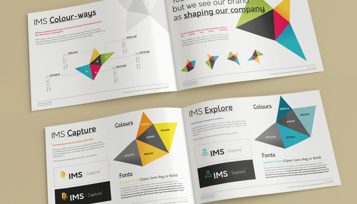 IMS - Brand Guidelines