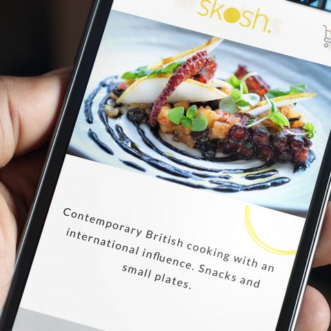 Skosh York - New Website