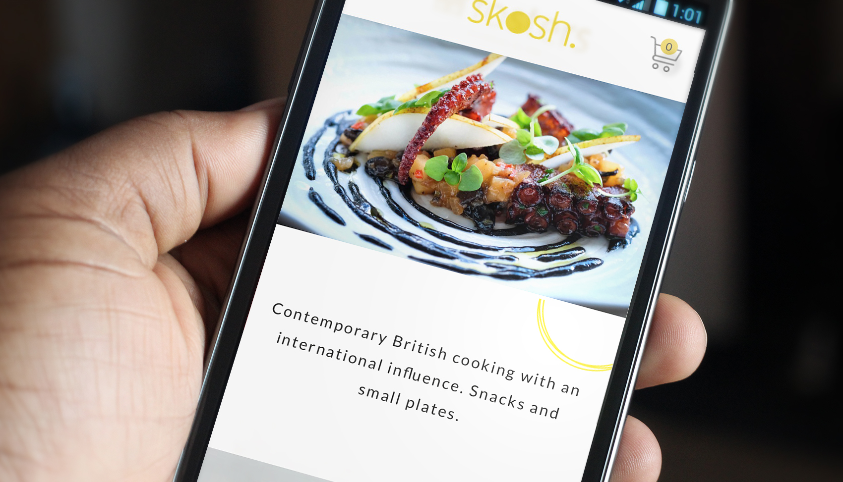 Skosh York - New Website