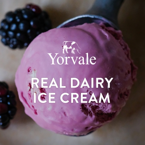Yorvale Ice Cream - New Website