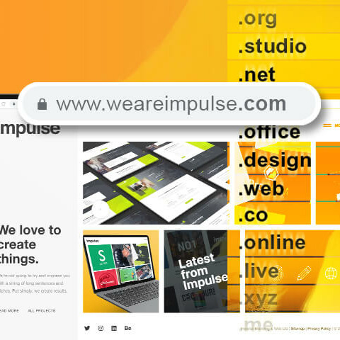 Domain Registration copy