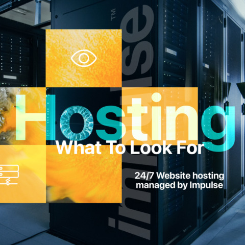 Website Hosting copy