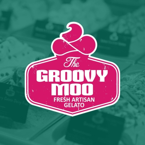 Groovy Moo Top copy
