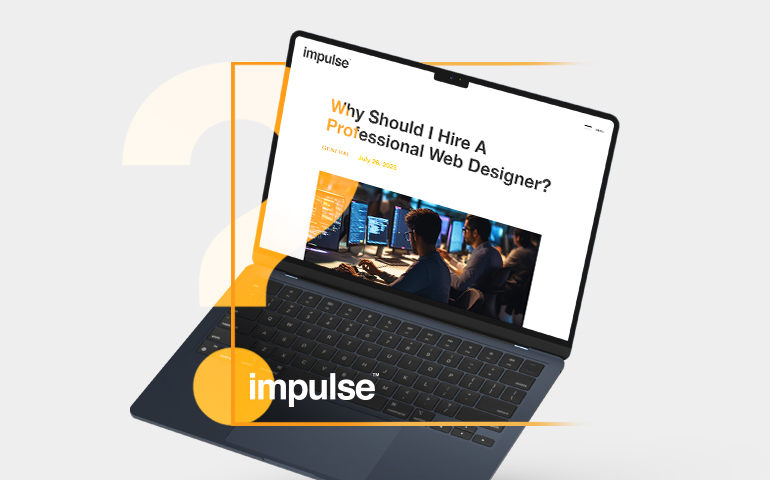 Professional Web Designer copy